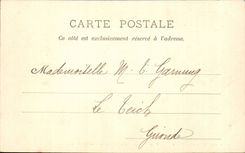 CPA Bagneres de Bigorre View Cows