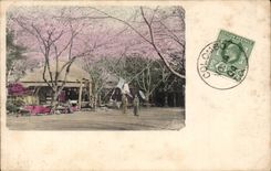 CPA Japan Japan Japanese Stone steps At Negishi (stamp of Ceylon Ceylon Sri Lanka)