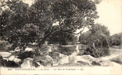 CPA Fontainebleau the drill the pond of Franchard