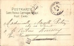 Bucolic CPA Landscape Swan Swan