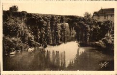 The Pyrenees CPA Betharram Old bridge on Gave