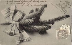 CPA Phantasie-Kieferkegel