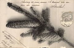 CPA Phantasie-Kieferkegel