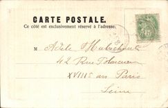 CPA Luxeuil les Bains Gate of the oak