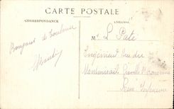 CPA Toulouse Vue panoramique Pont St Michel