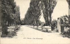 CPA Arles Aliscamps
