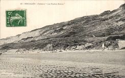 CPA Houlgate Cliffs black Cows