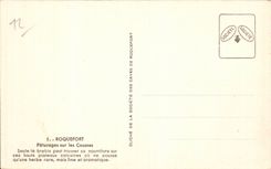 CPA Roquefort Pastures on the Causses (sheep)