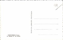 CPSM Saint Fargeau the castle