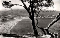 CPSM Le Lavandou La Faviere La plage