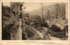 Ile de Port Cros CPA 