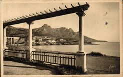 CPA Antheor the Russet-red Cape