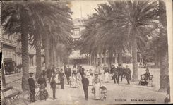 CPA Toulon Allee of the palm trees