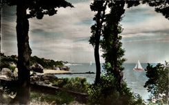 CPSM Bernerie the Dimension through the trees