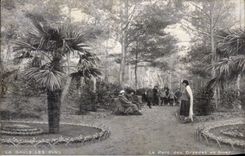 CPA La Baule pines the park of Dryades in winter