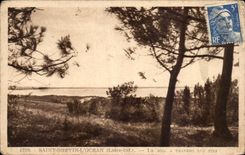 CPA Saint Brevin das Ozeanmeer durch die Kiefern