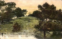 CPA La Baule on sea In the dunes