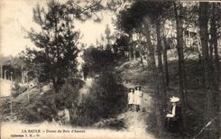 CPA La Baule Dunes of the wood of love