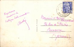 CPA La Baule Castle of Lauvergnac the large alley of the park