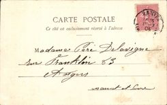 Nantes CPA quays of the pit the Loire and its flotilla of flies