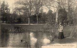 CPA Nantes Botanical garden Basin to the Swan swans