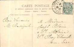 CPA Nantes Botanical garden Basin to the Swan swans