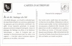 REPRODUCTION Ile de Re the beating of corn