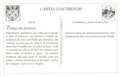 Boulogne REPRODUCTION on sea the sorting of fish before the criee