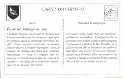 WIEDERGABE Ile de Re das Schlagen der Maislandwirtschaft