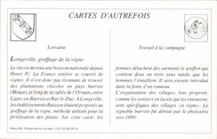 WIEDERGABE Einrichtung von Weinbau und Gartenbau grettage der Rebe Bush Longeville Maas