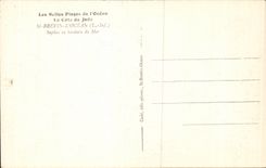 CPA Str Brevin die Ozean Tannenbaume im Rand von Meer