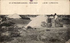 CPA Pouliguen Salt marsh the bagging