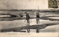 CPA die Salzwassersumpfe sammelt Salz