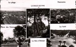 CPSM La Baule beach Drill Palm trees Wood of love