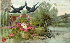 Blumen - Blumen - netter kleiner Tennisschuh weg von den Blumen - denken hat mich - Vogel - CPA Hirondelles