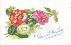 Blumen - Blumen - Wunsche des Gluckes - CPA