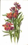 Blumen - Blumen - exotischer Blumenstrauss - CPA