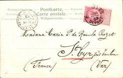 Blumen - Blume des Lilien- und Blumenentwurfs CPA