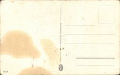 Blumen - Blumen - bunter Blumenstrauss weg zum Stapeln Ganseblumchen - CPA