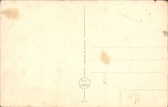 Blumen - Blumen - bunter Blumenstrauss weg von den Ganseblumchen - CPA