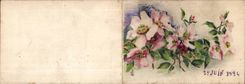 Bluht - Blumen - Fruhjahrblumen - Juni 1924 - CPA