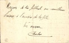 Blumen - Blumen - rosafarbenen Blumenstrauss sprengend - CPA