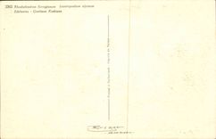 Blumen - Blumen - hell und hubsches boquet - CPA