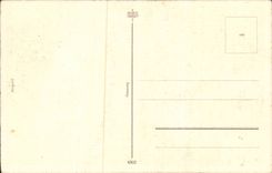 Bluht - Blumen - helle purpurrote Blumen - CPA