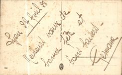 Blumen - Land-Szene - purpurrote Blumen - CPA