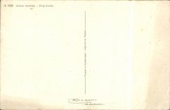 Blumen - Blumen - ausgedehnte gelbe Blumen - CPA