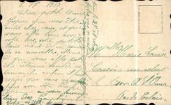 Blumen - Blumen - kleine weisse Blumen - CPA