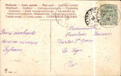 Bluht - Blumen - Vase weg von den Ganseblumchen - gluckliches Festival - CPA