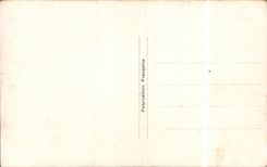 Blumen - Blumen - recht purpurrote Blumen - CPA