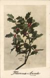 Fetes - Holiday - Heureuse Annee - Happy New Year - houx - holly - CPA 